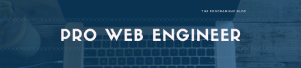 Pro Web Engineer
